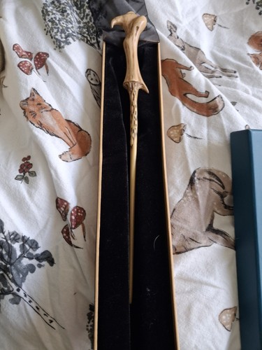 Harry potter voldermorts - harry,